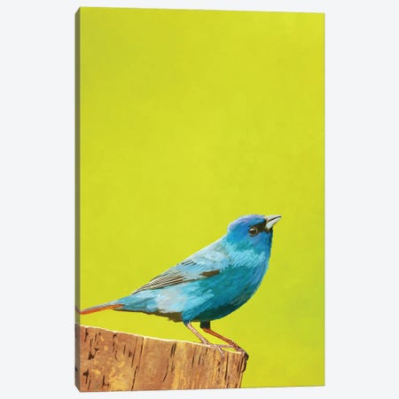 Bluebird Canvas Print #RMU440} by Roberta Murray Canvas Print