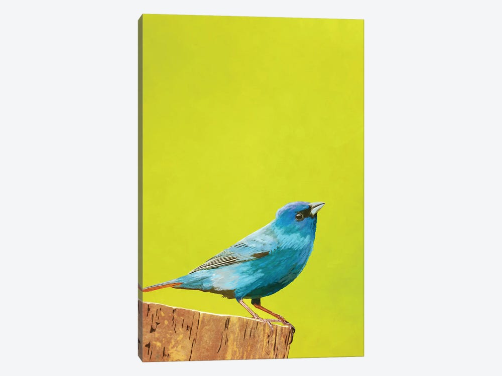 Bluebird by Roberta Murray 1-piece Art Print