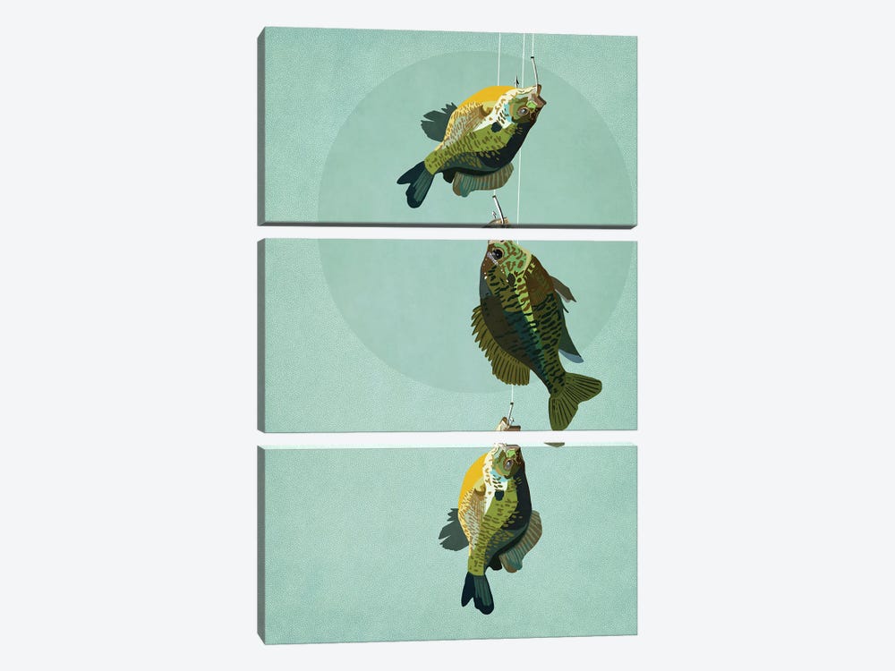 A Few Less Fish by Roberta Murray 3-piece Canvas Wall Art