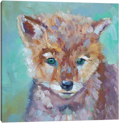 Cutest Coyote Canvas Art Print - Roberta Murray