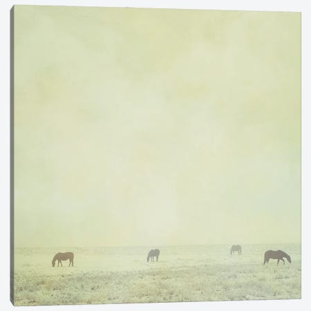 Colder Horses Canvas Print #RMU47} by Roberta Murray Canvas Art