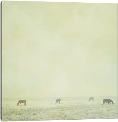 Colder Horses Canvas Art Print