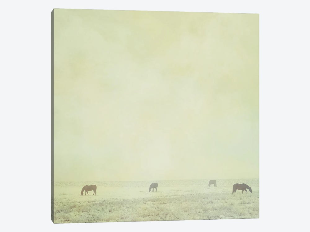 Colder Horses by Roberta Murray 1-piece Canvas Artwork