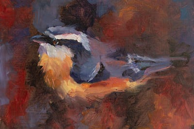 Roberta Murray - Canvas Prints: Funny Little Bird by Roberta Murray