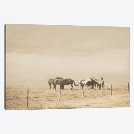 The Herd Canvas Print #RMU74} by Roberta Murray Art Print