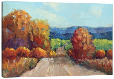 County Road Canvas Art Print - Roberta Murray