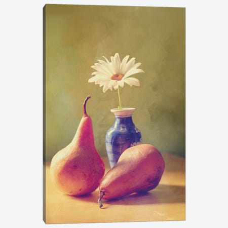 Daisy And Pears Canvas Print #RMU99} by Roberta Murray Canvas Wall Art