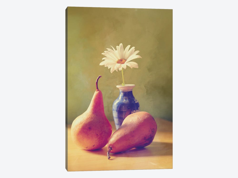 Daisy And Pears by Roberta Murray 1-piece Art Print