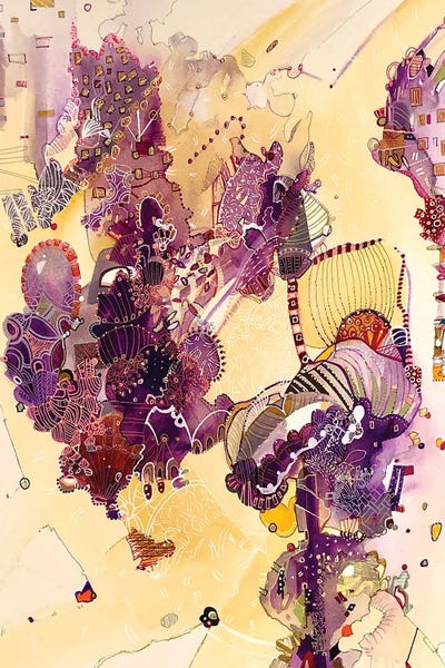 Rebecca Moy: Orchids by Rebecca Moy