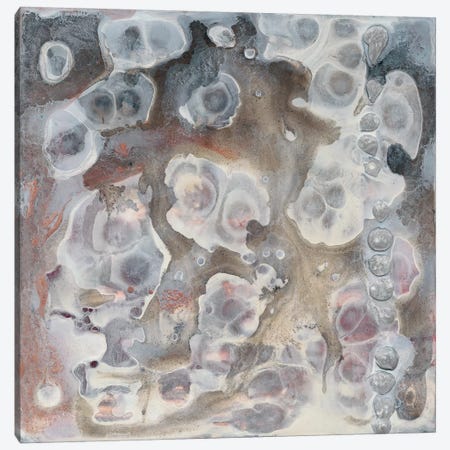 Surface Study IV Canvas Print #RNE60} by Renée Stramel Canvas Print