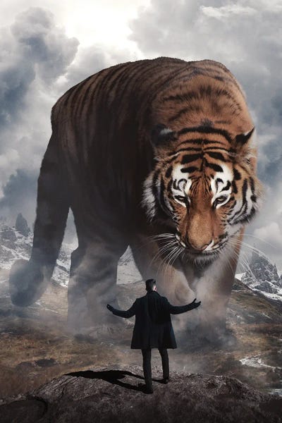 Come At Me by Ruvim Noga framed wall art