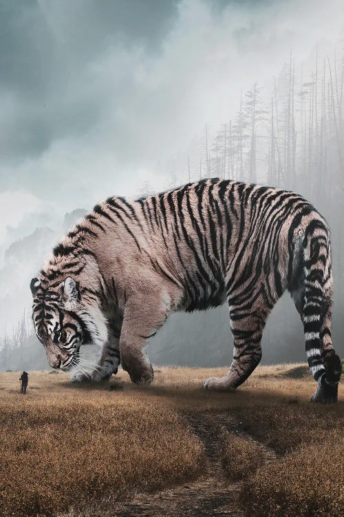 Giant Tiger