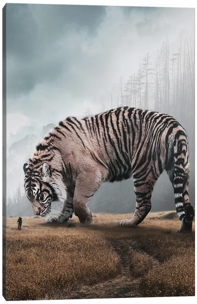 Giant Tiger Canvas Art Print
