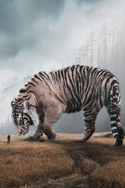 Ruvim Noga: Giant Tiger by Ruvim Noga