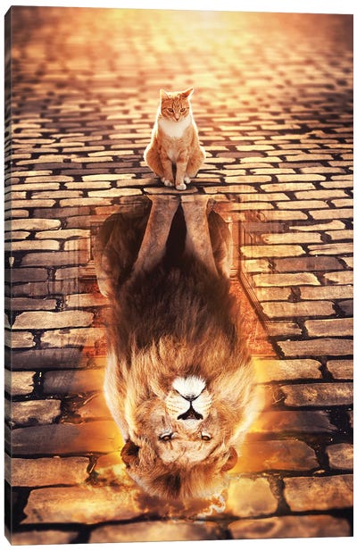 Lion Cat Reflection Canvas Art Print - Lion Art