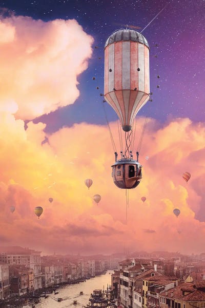 Afternoon Flight by Ruvim Noga canvas print