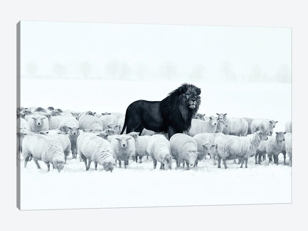 Lion Among Sheep 1-piece Art Print