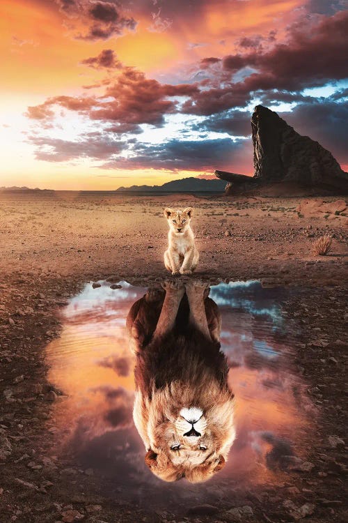 Lion King