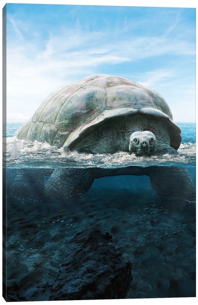 Mega Turtle Canvas Art Print - Turtle Art