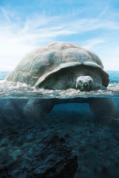 Ruvim Noga: Mega Turtle by Ruvim Noga