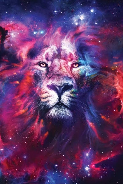 Lion Nebula by Ruvim Noga framed wall art