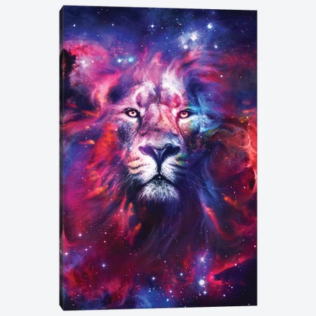 Lion Nebula Canvas Print #RNG23} by Ruvim Noga Canvas Art Print