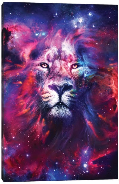 Lion Nebula Canvas Art Print - Ruvim Noga