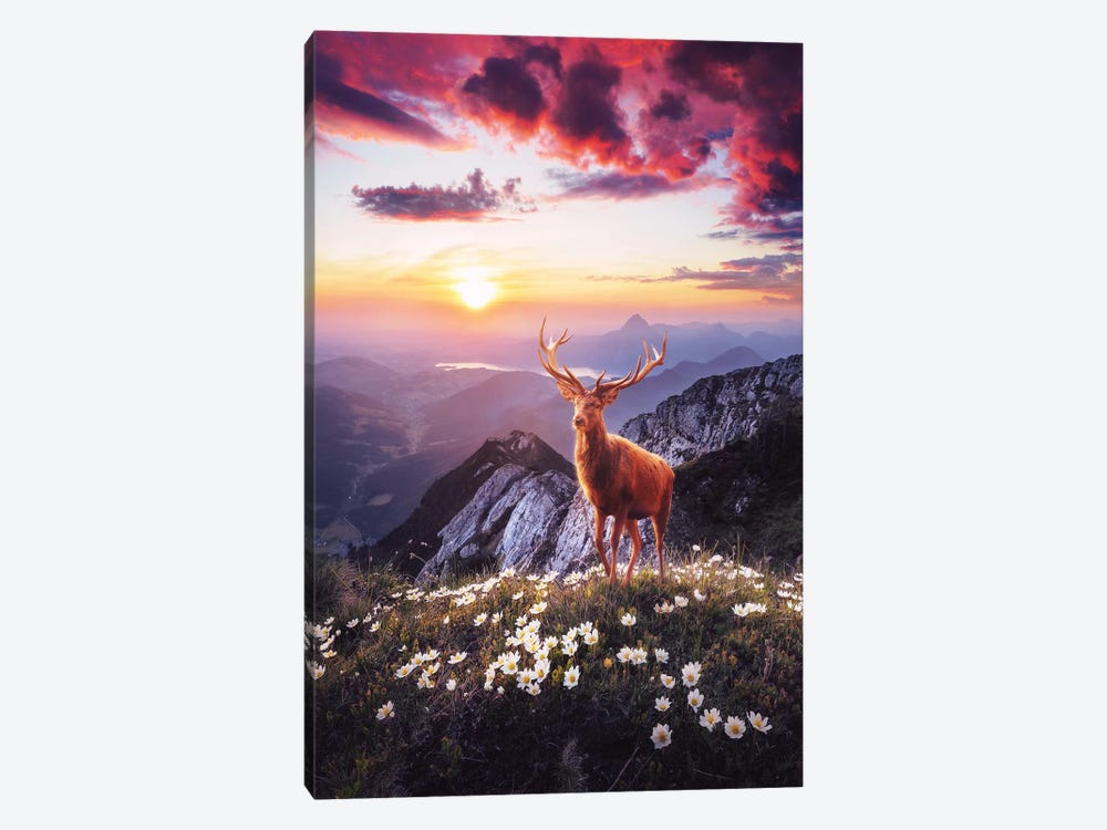 Sunset In The Mountains by Ruvim Noga 1-piece Canvas Wall Art