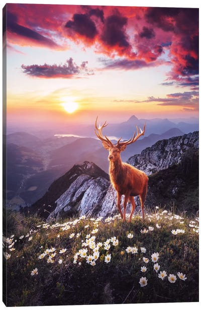 Sunset In The Mountains Canvas Art Print - Animal Lover