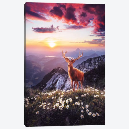 Sunset In The Mountains Canvas Print #RNG27} by Ruvim Noga Canvas Art