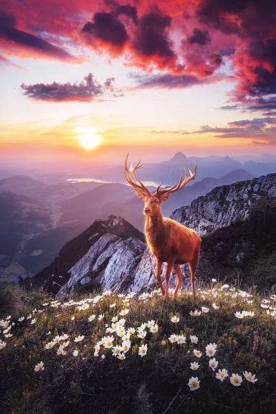 Ruvim Noga: Sunset In The Mountains by Ruvim Noga