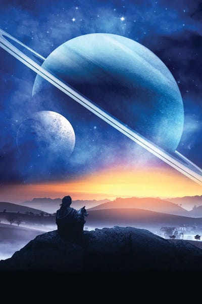 Planet Gazing by Ruvim Noga framed wall art