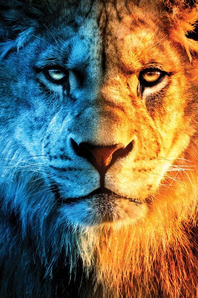 King Of Fire And Ice by Ruvim Noga canvas print