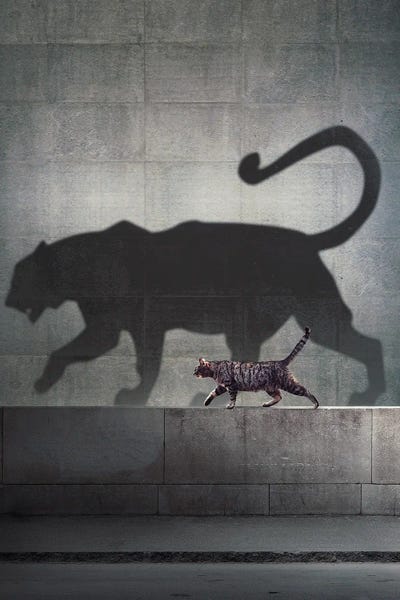 Shadow Of Greatness by Ruvim Noga framed wall art