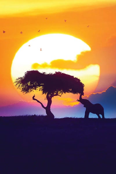 Ruvim Noga: Sunset On The Savannah by Ruvim Noga
