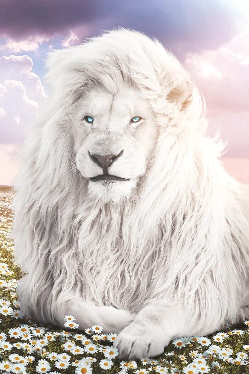 White Lion In Field Of Flowers