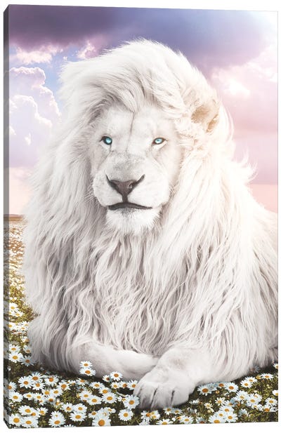 White Lion In Field Of Flowers Canvas Art Print