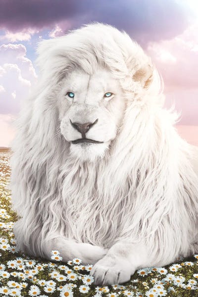 White Lion In Field Of Flowers