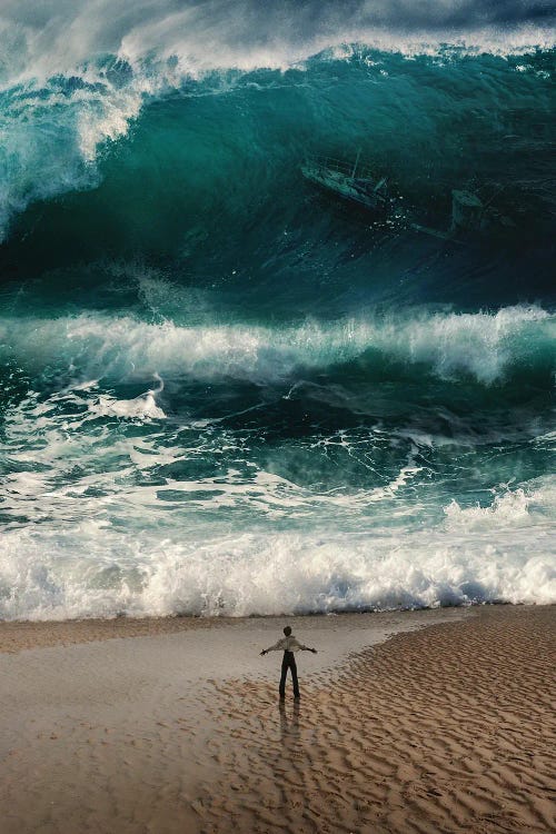 Tsunami Attack by Ruvim Noga wall art