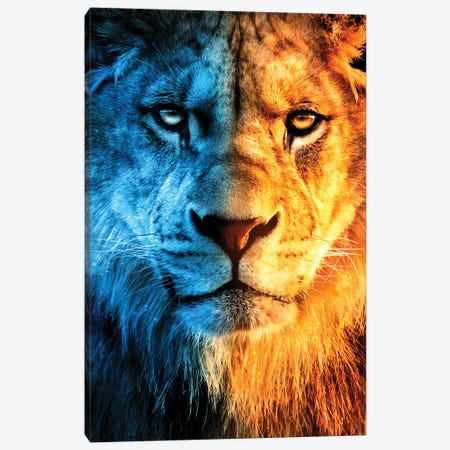 King Of Fire And Ice Canvas Print #RNG3} by Ruvim Noga Canvas Wall Art