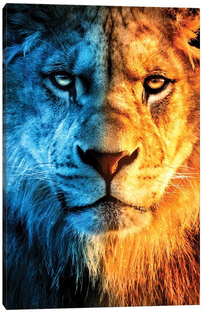 King Of Fire And Ice Canvas Art Print