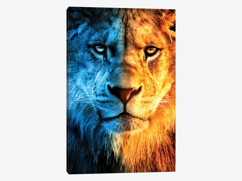 King Of Fire And Ice by Ruvim Noga 1-piece Canvas Wall Art