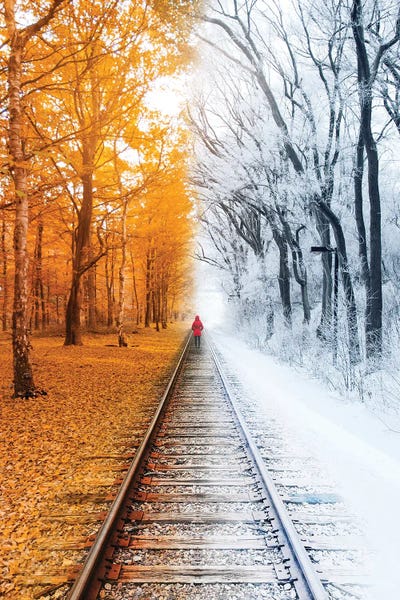 Winterfall by Ruvim Noga framed wall art