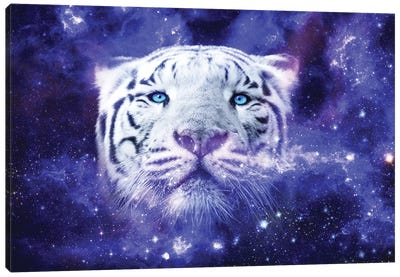 White Tiger Nebula Canvas Art Print - Ruvim Noga