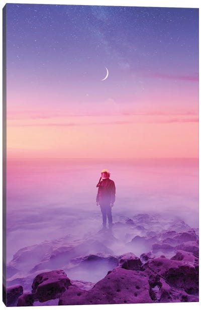 Purple Sunsets Canvas Art Print - Dreamer