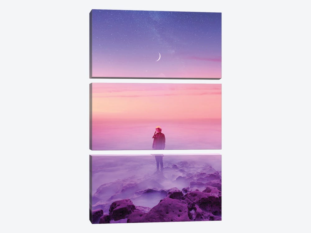 Purple Sunsets by Ruvim Noga 3-piece Canvas Print