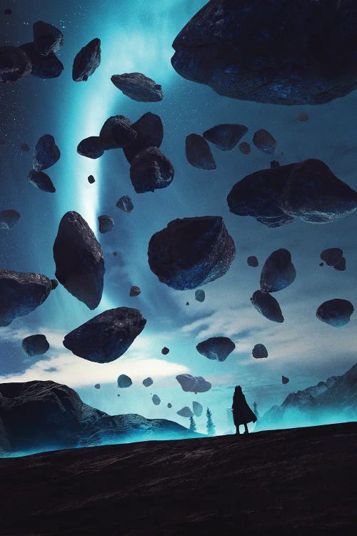 Asteroid Belt by Ruvim Noga wall art