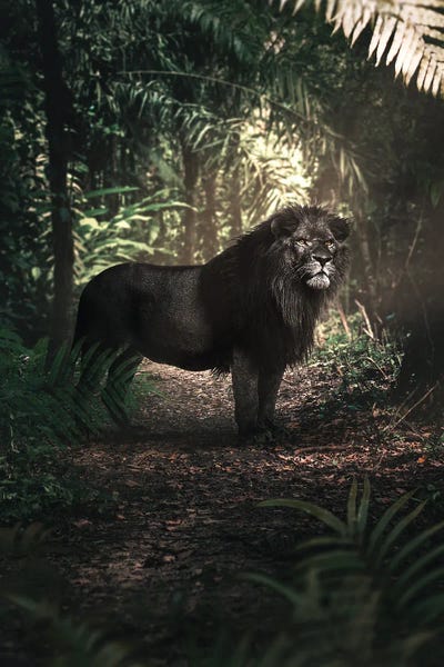 Hidden King by Ruvim Noga framed wall art