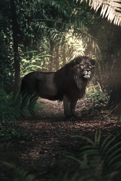 Hidden King by Ruvim Noga wall art