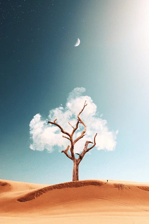 Cloud Tree by Ruvim Noga wall art
